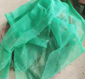 �����W(w��ng)